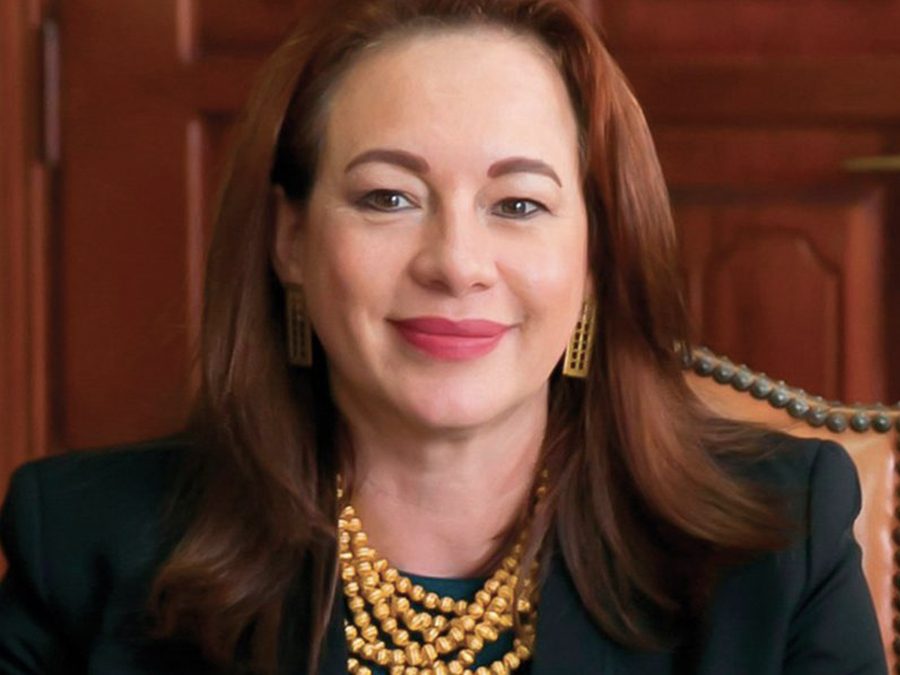 H.E. Maria Fernanda  Espinosa Garces